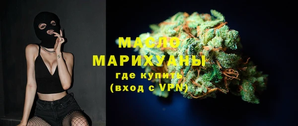 тгк Гусев