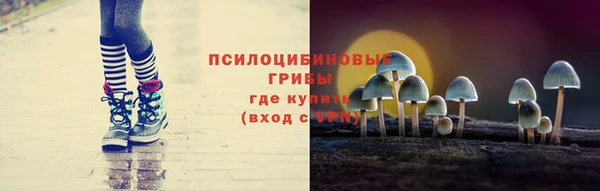 МДПВ Вязники