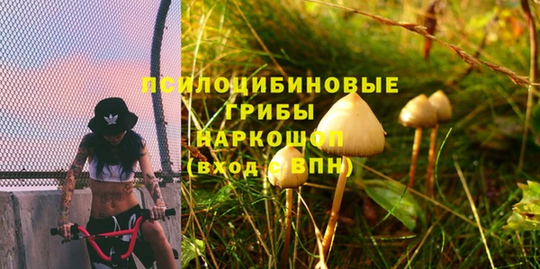 кристаллы Горняк