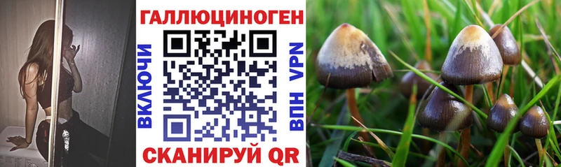 Псилоцибиновые грибы Psilocybine cubensis Купить где Каменск-Шахтинский